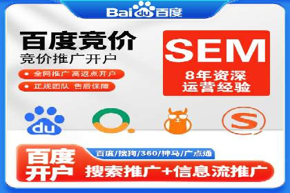 案例解读：SEO与SEM优化助力电商崛起